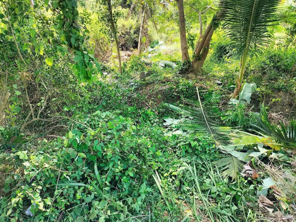 Bán đất mặt tiền đường 5T Trung Trị, Vũng Liêm 224m² - Giá chỉ 420 triệu, thương lượng ngay!