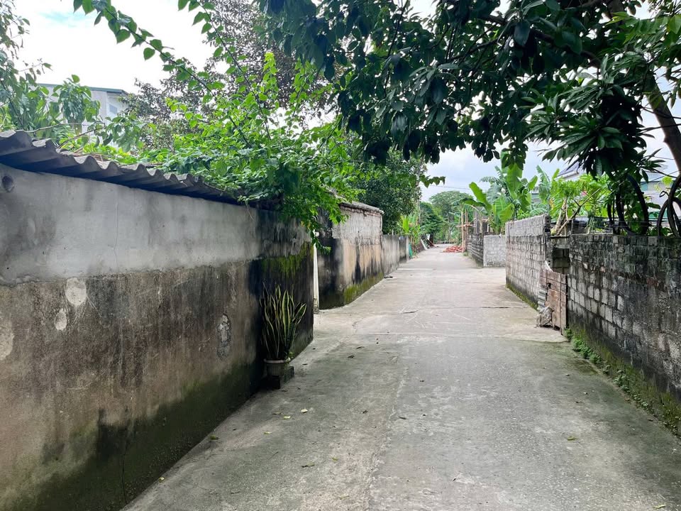 Bán lô đất Minh Trại - Quảng Phú 95m² - Vị trí trung tâm, sinh lời cao!