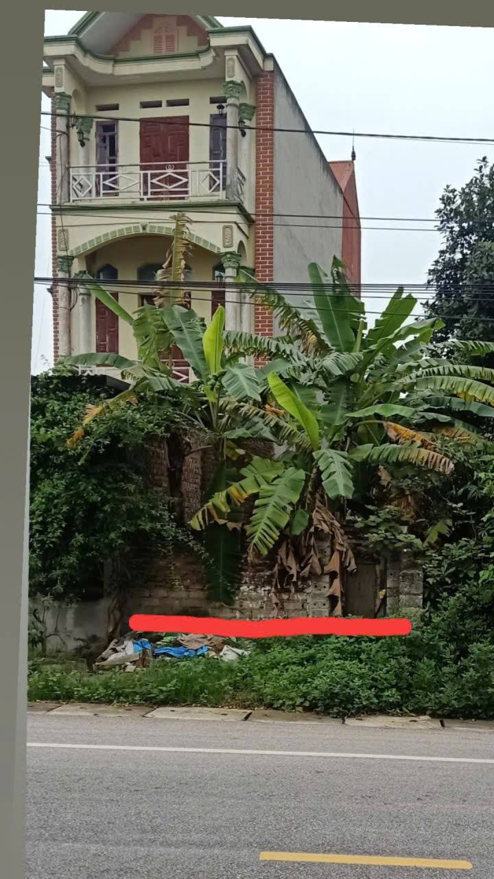 Đất thổ cư TDP Cầu Trang Bắc Lý 118,9m² giá 3 tỷ - Vị trí đắc địa, tiện ích đầy đủ!