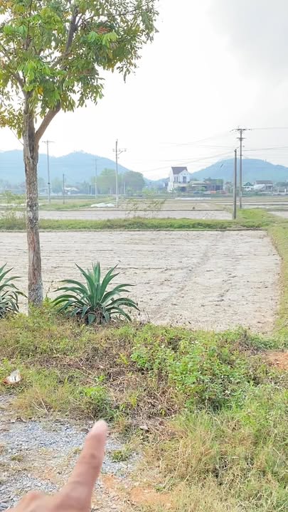 Đất nền Quốc lộ 48E, Huyện Nghi Lộc 131m² - Cơ hội đầu tư không thể bỏ lỡ!