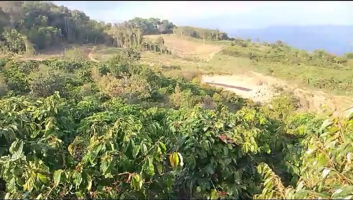 Farm 2.3ha tại Xã Gia Bắc, Huyện Di Linh - Giá chỉ 3.3 tỷ thương lượng!