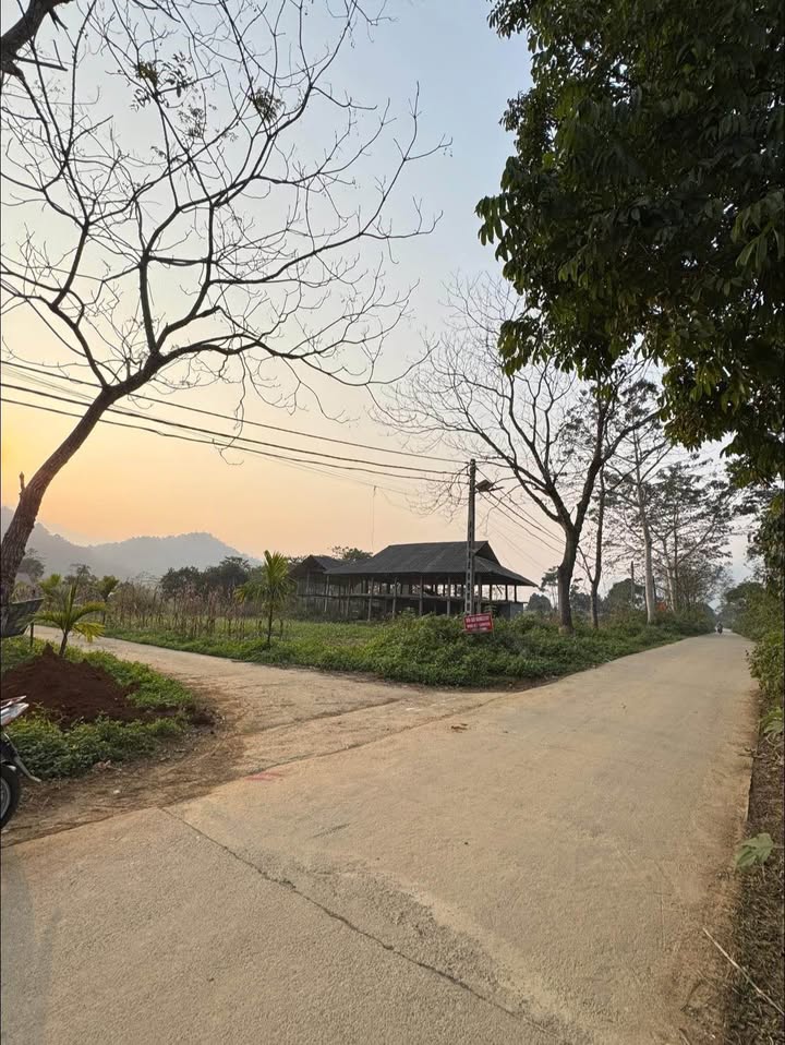 Đất nền TDP Lùng Càng, Hà Giang 300m² giá 299 triệu - Cơ hội đầu tư hấp dẫn!