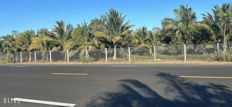 Đất nền mặt tiền tỉnh lộ 997, Phước Long Thọ 5677m² - Giá chỉ 10 tỷ!