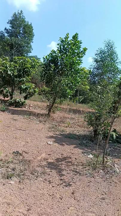 Đất nền xã Hưng Thịnh, Trảng Bom 1200m² giá chỉ từ 700 triệu - Cơ hội đầu tư hấp dẫn!