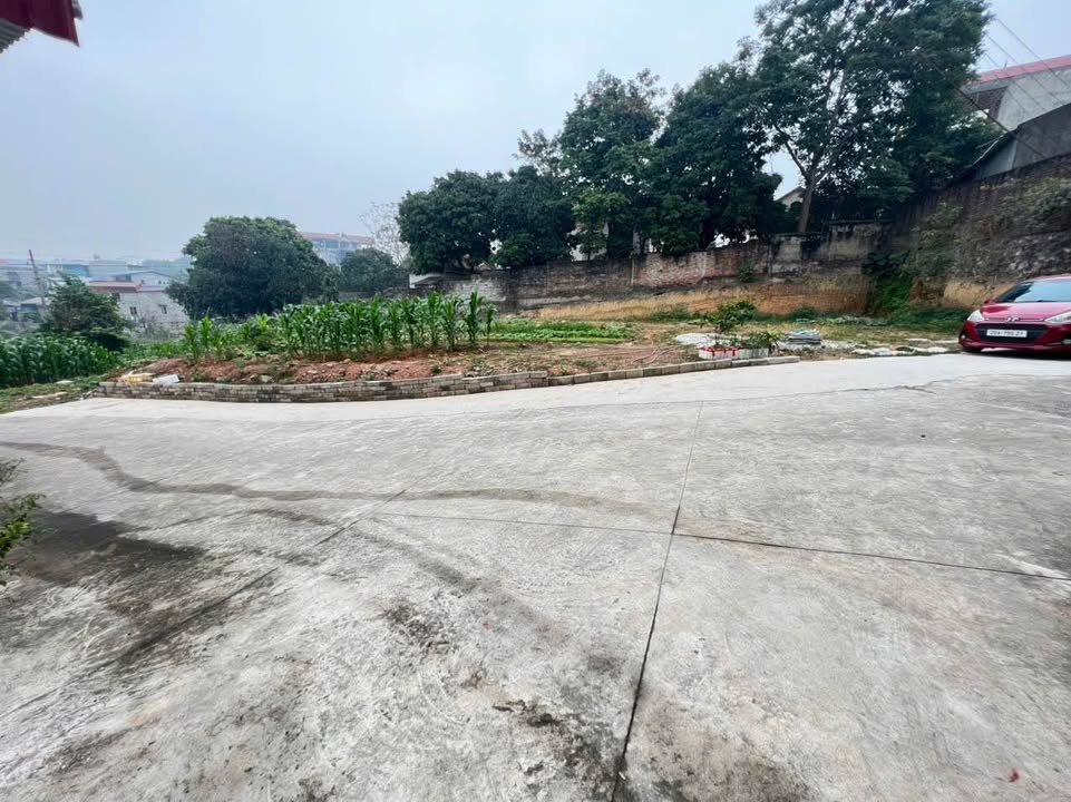 Đất thổ cư Phú Thái 210m² giá 3 tỷ - Sân vườn rộng thoáng