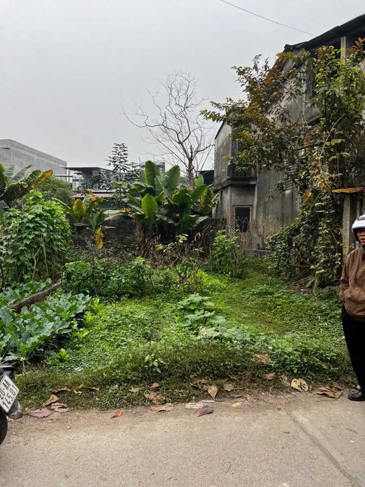 Đất thổ cư Quán Triều 72m² giá 1 tỷ - Kinh doanh nhỏ tiện lợi!