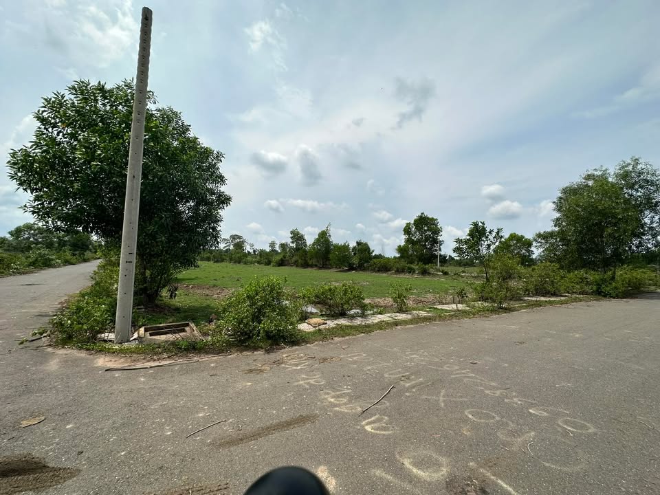 Đất nền Long Phước, Đồng Nai 10.000m² giá 1.5 tỷ - Cơ hội đầu tư hấp dẫn!