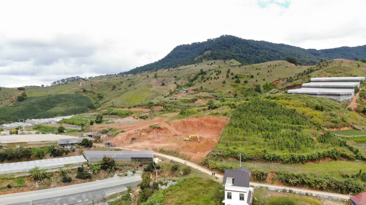 Đất thổ cư 1400m² mặt tiền đường 14/3 Lạc Dương giá 33 tỷ - Cơ hội đầu tư tuyệt vời!