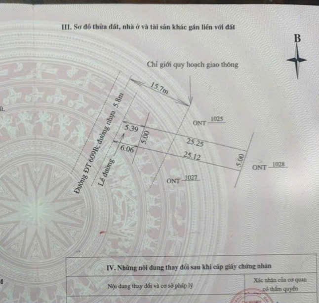 Đất nền 125m² Đường 33m, Quận Sơn Trà - Đầu tư sinh lời, vị trí đắc địa!