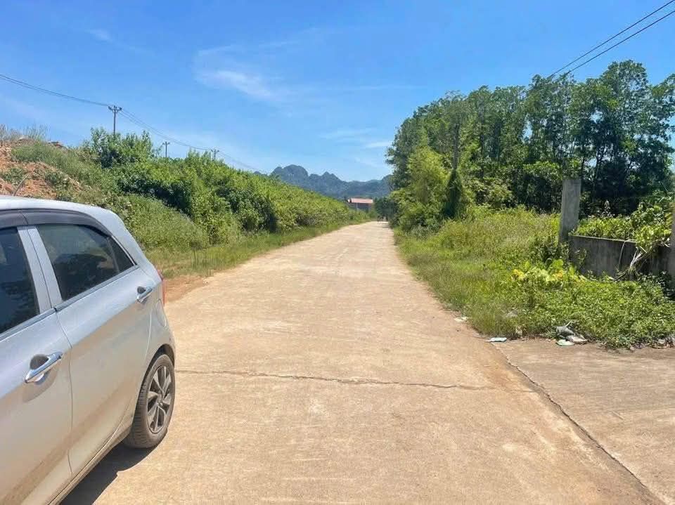 Đất nền Gia Lâm, Nho Quan 226m² giá thỏa thuận - Cơ hội đầu tư lý tưởng!