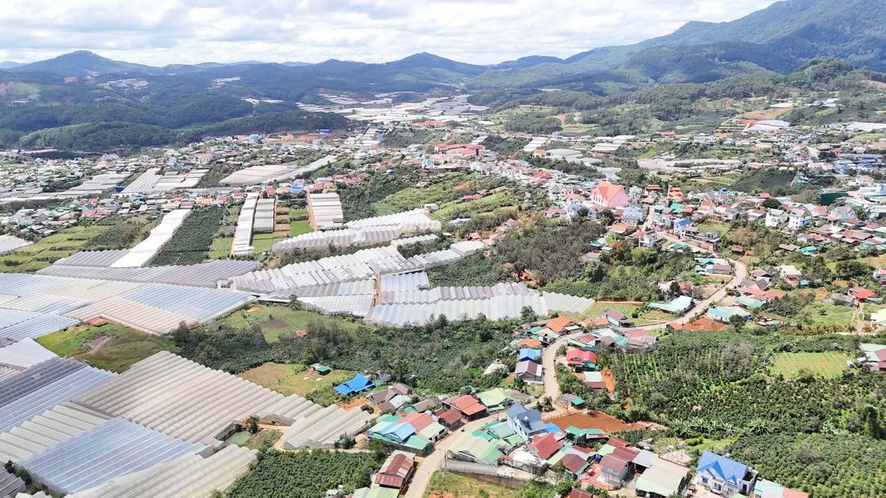 Đất nền Đạ Sar 600m² giá 3 tỷ - Tiềm năng nghỉ dưỡng tuyệt vời!