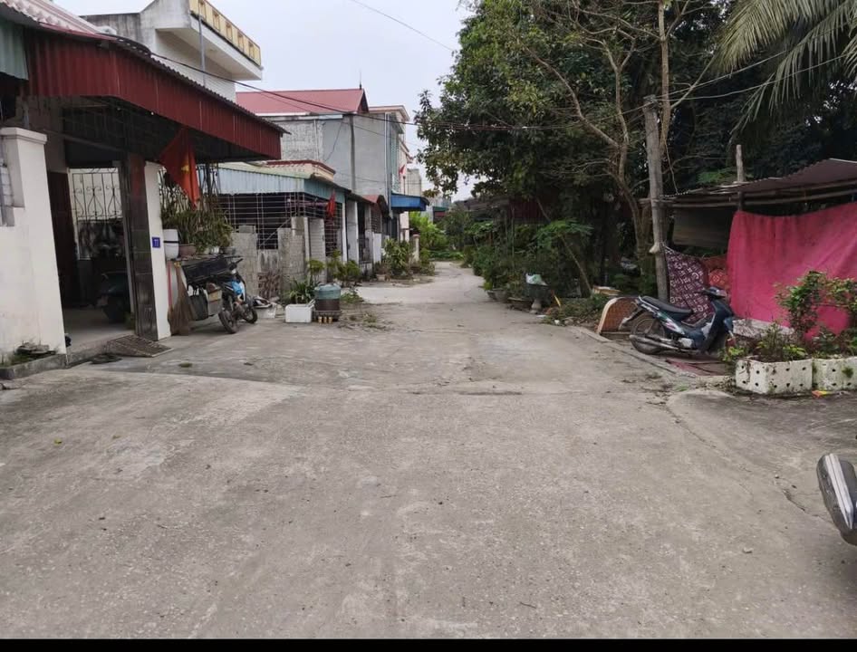 Đất nền Đường Thanh Niên Đồ Sơn 100m² giá 2.6 tỷ - Vị trí đẹp gần trung tâm