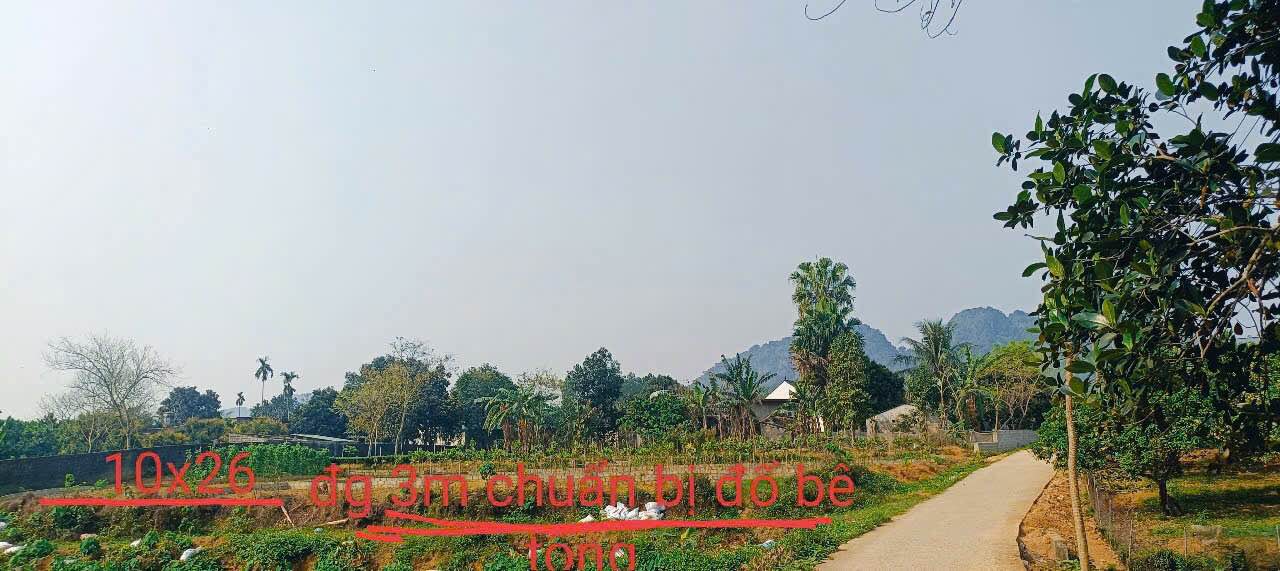 Đất nền Phú Thành, Lạc Thủy 129,3m² giá chỉ 400 triệu - Cơ hội đầu tư vàng!