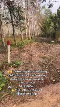 Đất nền Định Hiệp Dầu Tiếng 1200m² giá 1 tỷ - Sổ đỏ chính chủ!