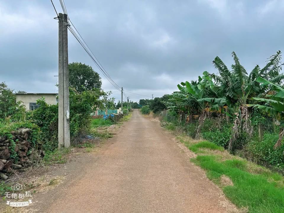 Đất tại Đường Đức Giang 1, Xã Lộc Đức, Huyện Bảo Lâm, 100m² chỉ 650 triệu - Đầu tư sinh lời ngay!