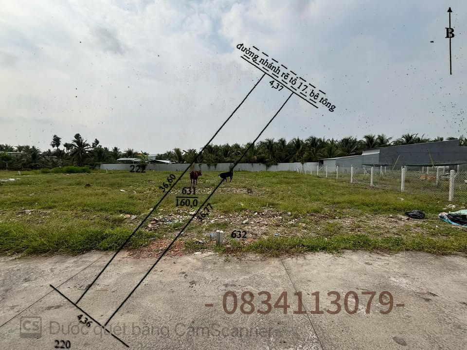 Đất nền thổ cư Đường DT870, TP Mỹ Tho 160m² giá 800 triệu - Bán gấp trong tuần!