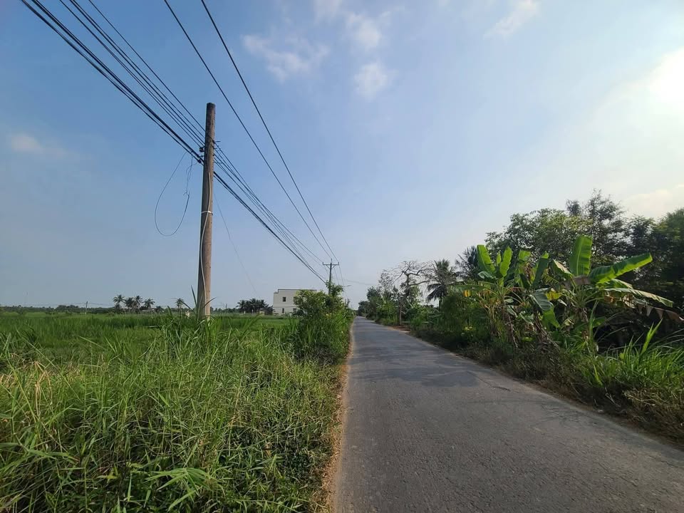 Đất nền liền kề tại Xã Vĩnh Hựu, Huyện Gò Công Tây, 150m² chỉ 495 triệu - Cơ hội đầu tư tuyệt vời!