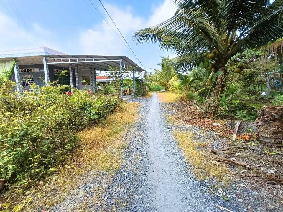 Đất vườn 1000m² xã An Thạnh Thủy, Tiền Giang giá 1 tỷ - Đầu tư lý tưởng!