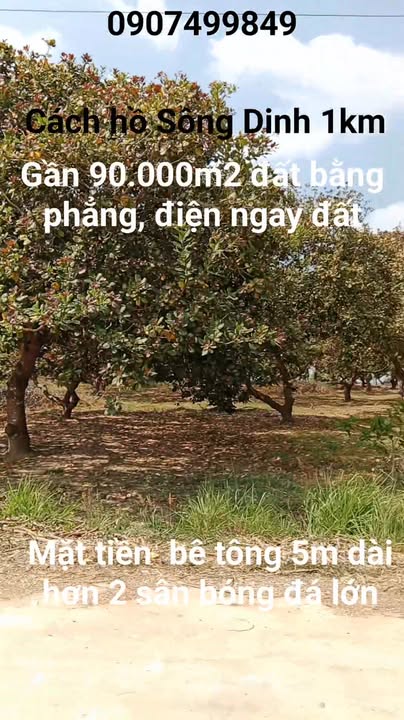 Đất nền 90.000m² tại xã Tân Đức, Hàm Tân - Giá chỉ 17 tỷ!