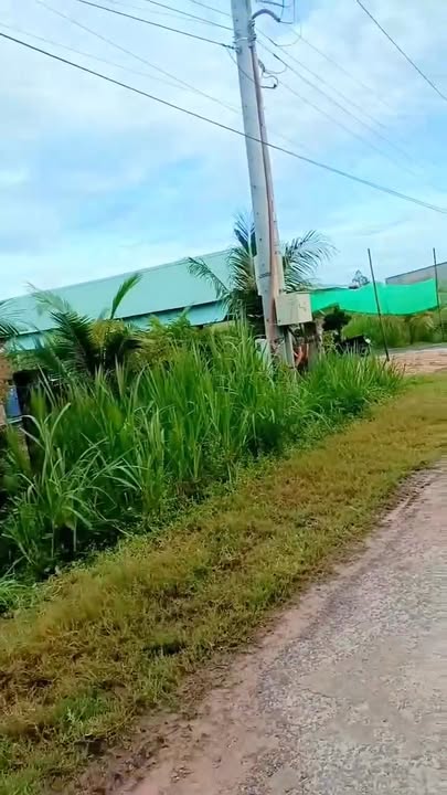 Đất nền mặt tiền đường nhựa Bàu Sen, Tây Ninh 1368m² - Cơ hội đầu tư tuyệt vời!