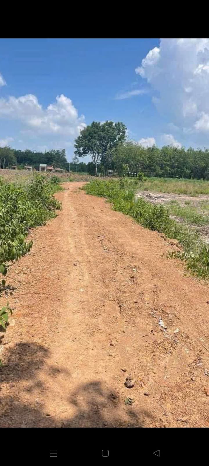 Đất thổ cư Thạnh Bình Tân Biên 250m² giá 139 triệu - Cơ hội đầu tư tuyệt vời!