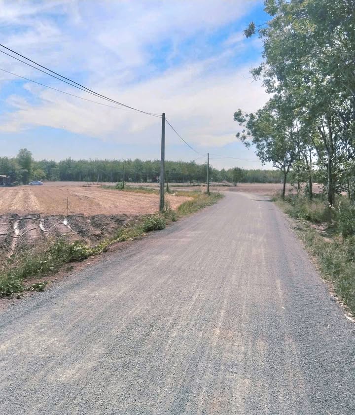 Bán đất thổ cư Đồng Dài Tân Phong 2500m² giá 1.16 tỷ - Đầu tư sinh lời lý tưởng!