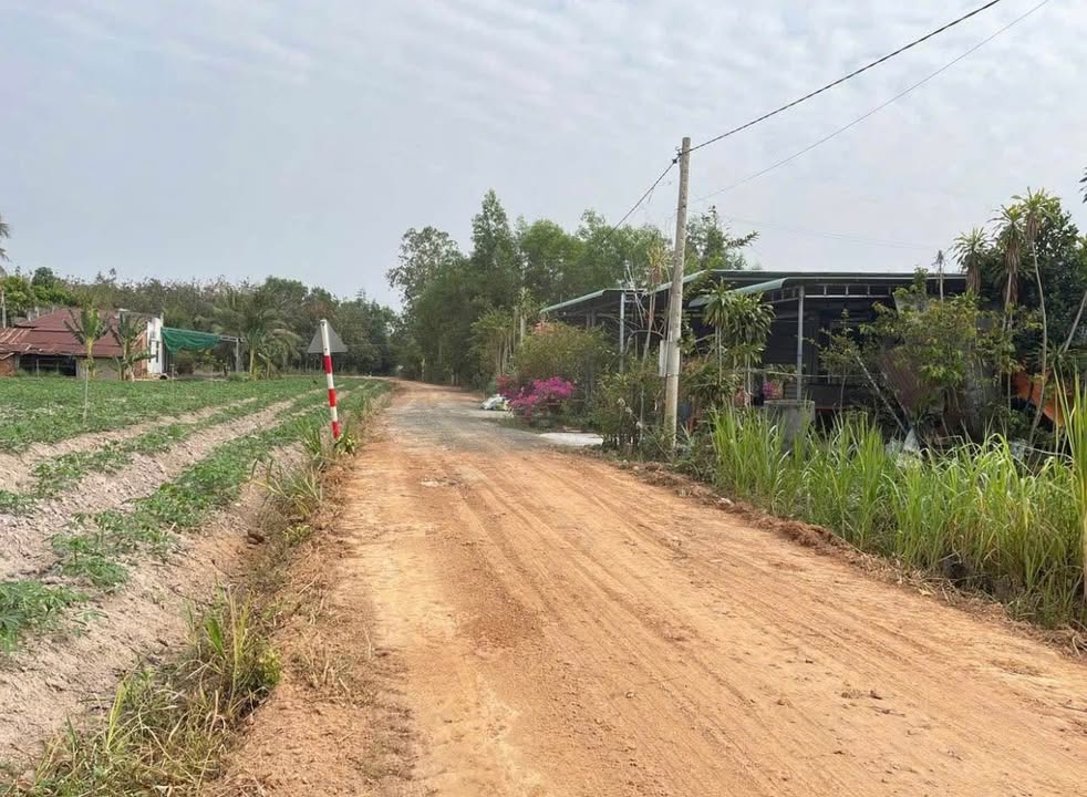 Đất nền Chòm Dừa Đồng Khởi, Châu Thành 300m² giá 200 triệu - Cơ hội đầu tư tuyệt vời!