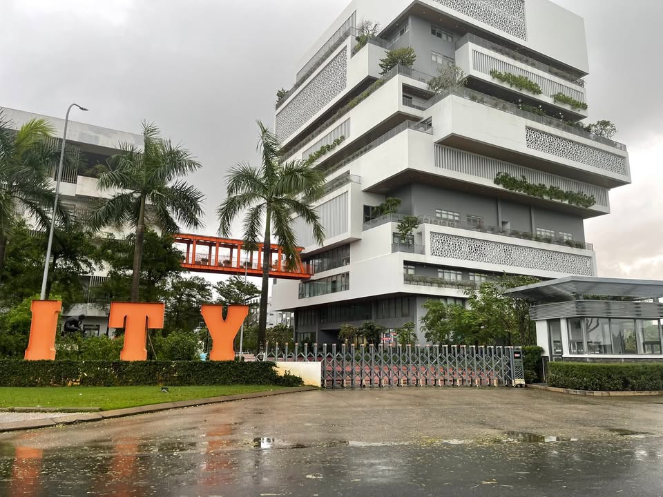 Lô đất 500m² đường Trần Đại Nghĩa, Huyện Bình Chánh giá 15 tỷ - Cơ hội đầu tư hấp dẫn!