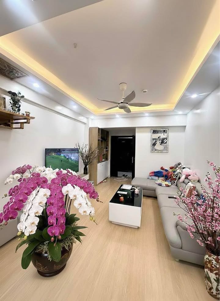 Chung cư TECO Lào Cai 78,5m² giá 1 tỷ - Sẵn sàng vào ở ngay!