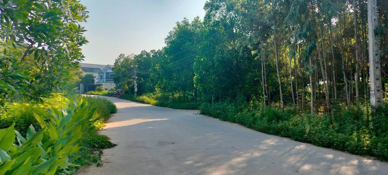 Đất thổ cư 160m² tại Khu 8, xã Phú Lộc - Tiềm năng kinh doanh lớn!