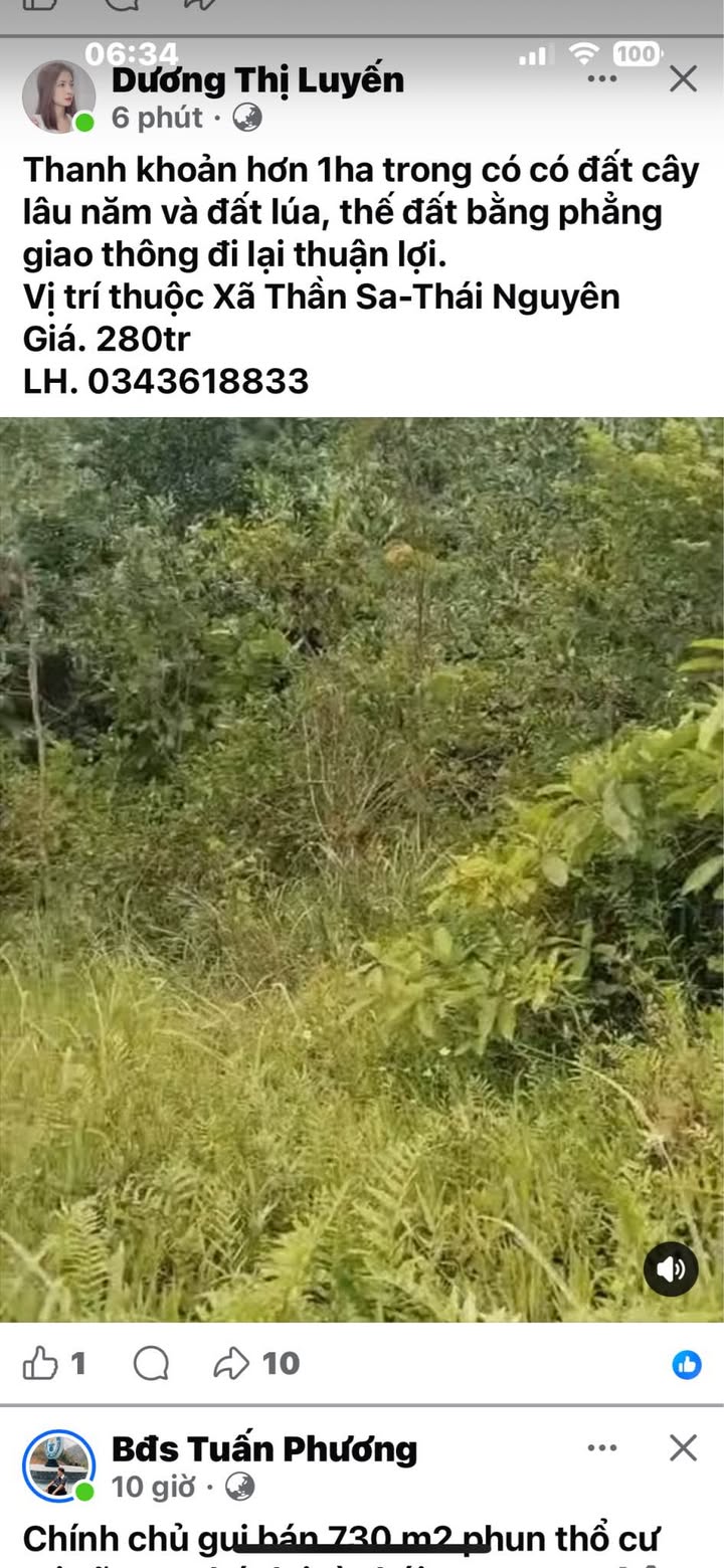 Đất Farm 1ha Thần Xa Võ Nhai giá chỉ 300 triệu - Cơ hội đầu tư tốt!