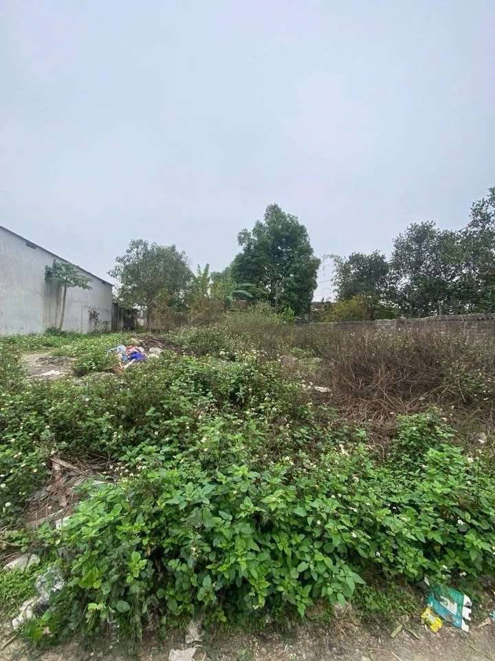 Đất nền Lương Phong, Hiệp Hòa 132m² giá 800 triệu - Vị trí đắc địa gần KCN!