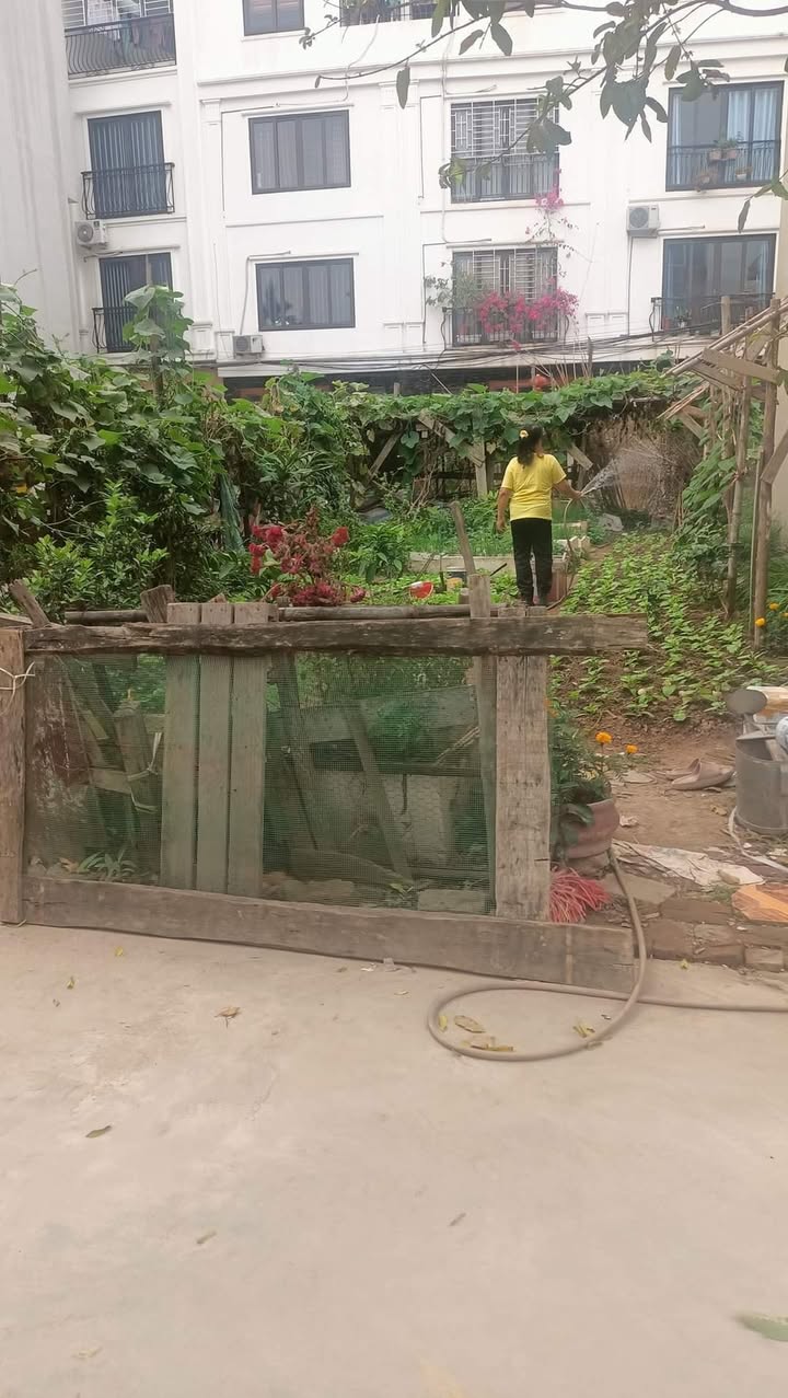 Đất nền Trịnh Văn Bô, 100m² giá 5 tỷ - Vị trí đắc địa gần KDT Foresa!