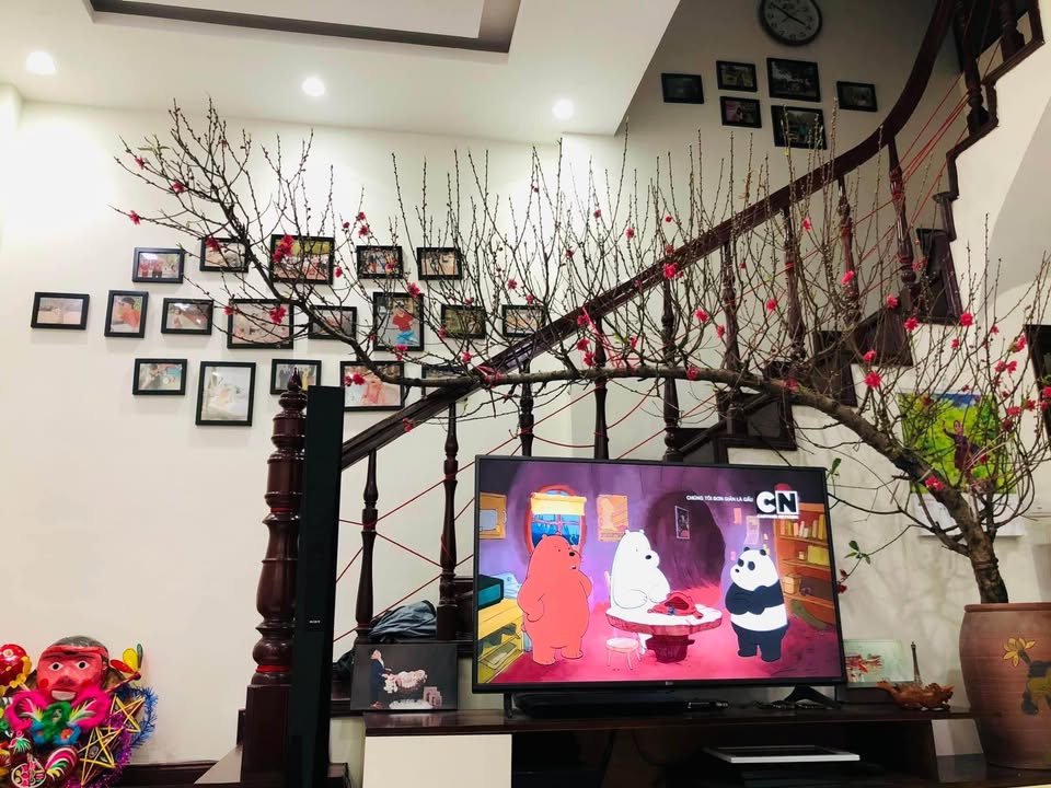 Nhà phố Kim Mã Ba Đình 39m² giá 5 tỷ - Lô góc 3 mặt thoáng, thiết kế hiện đại