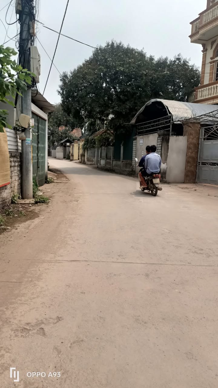 Đất thổ cư Xã Tự Nhiên, Thường Tín 287m² giá chỉ 7.x triệu/m² - Cơ hội đầu tư tuyệt vời!