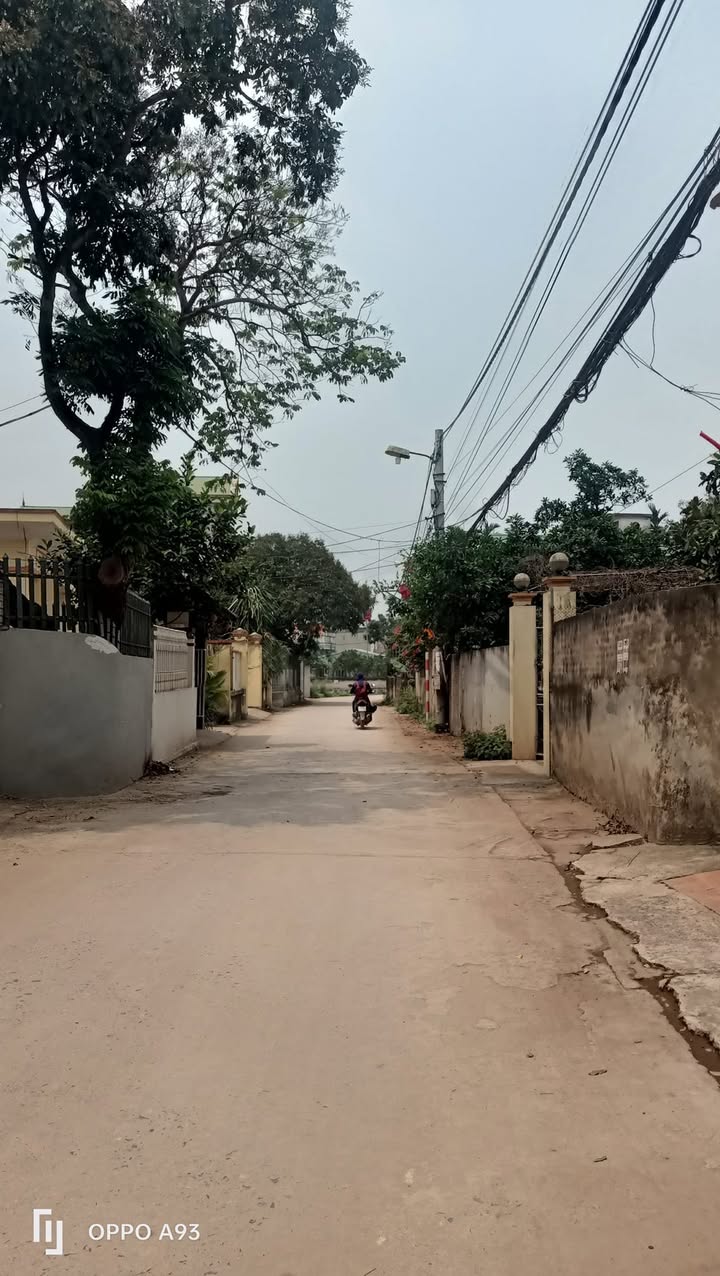 Đất kinh doanh trục chính Thường Tín 353m² giá rẻ - Tiềm năng sinh lời cao!