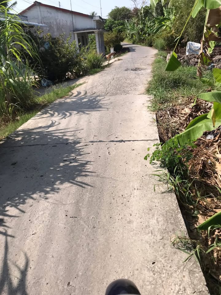 Đất nền đẹp tại Khu Phố Minh Lạc, Thị Trấn Minh Lương, 1300m² - Giá thương lượng hấp dẫn!