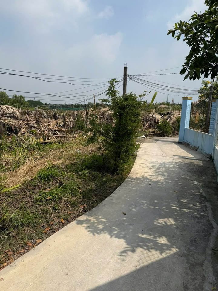 Đất vườn 679m² tại Tân Chánh, Cần Đước - Chính chủ bán gấp chỉ 730 triệu!