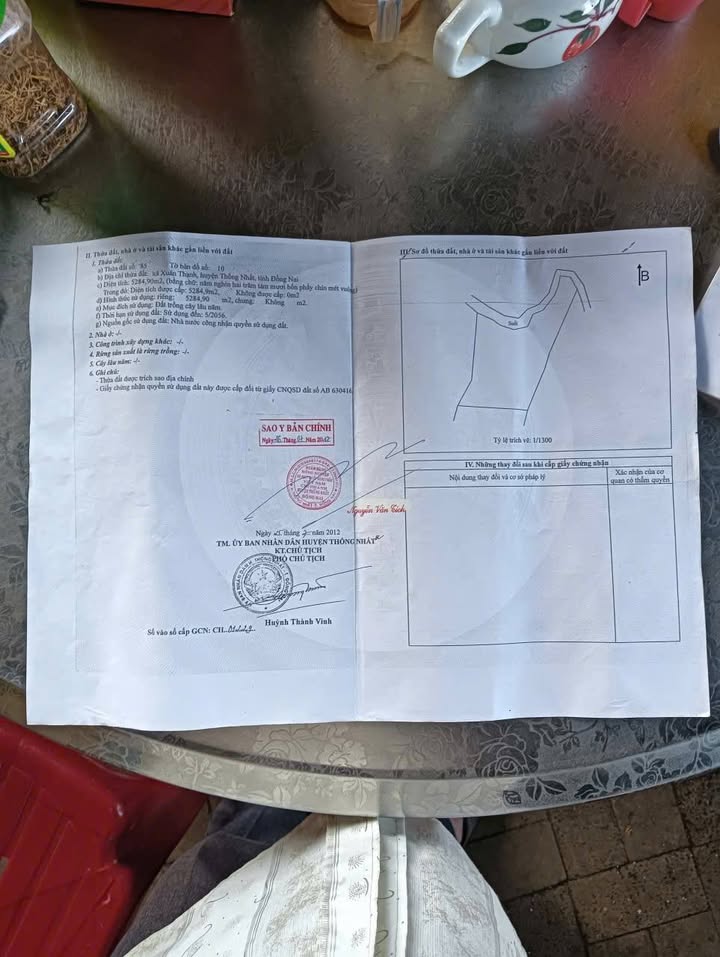 Đất Farm 5.3 sào tại Xã Xuân Thiện, Huyện Thống Nhất - Giá chỉ 1 tỷ - Đầu tư sinh lời ngay!