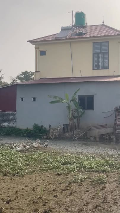 Bán đất Xã Phú Lộc, Huyện Hậu Lộc, 208m² - Cơ hội đầu tư tuyệt vời!