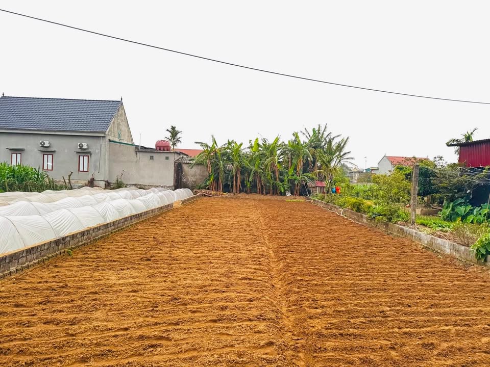 Đất thổ cư Đông Hải - Đa Lộc 318m² giá thỏa thuận - Cơ hội đầu tư tuyệt vời!