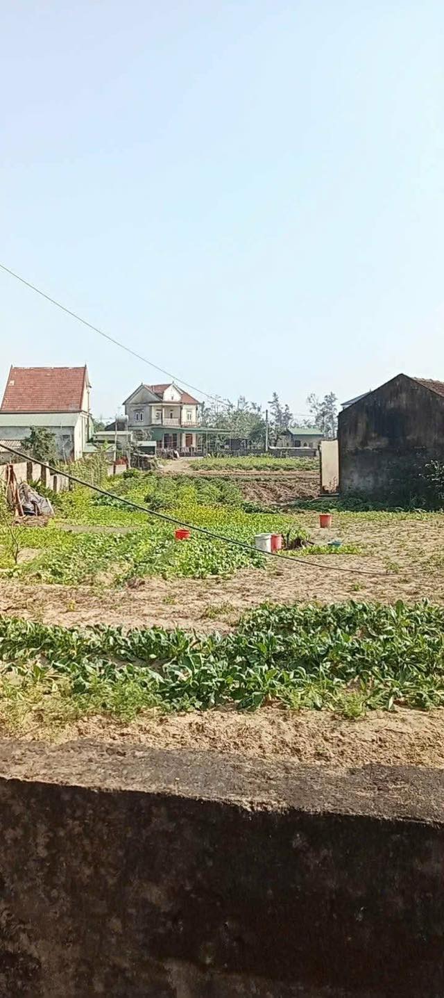 Đất thổ cư thôn Trung Vượng, Xuân Giang, 140m² giá 1.1 tỷ - Cơ hội đầu tư hiếm có!