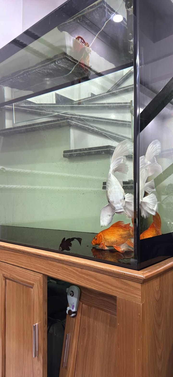 Nhà gốc dân 40m² Đường Lạch Tray, Hải Phòng giá 2 tỷ - Sẵn sàng vào ở ngay!