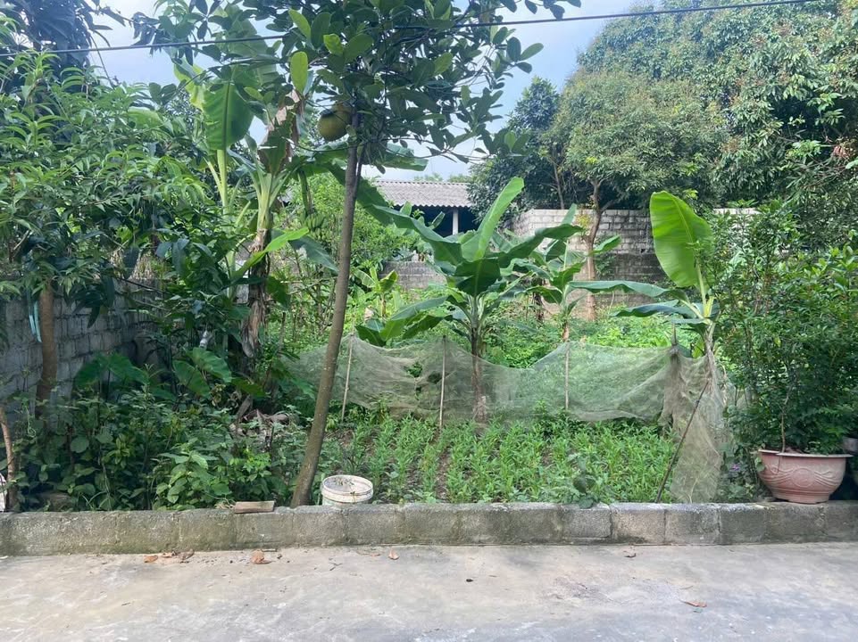 Đất thổ cư 104m² tại Thủy Xuân Tiên, Hà Đông - Giá chỉ 2.x tỷ