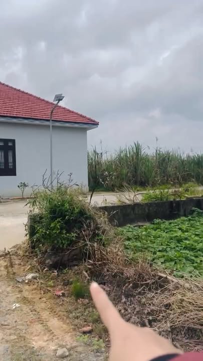 Đất nền Phường Hương Văn, Thị xã Hương Trà 117m² - Vị trí đẹp, giá tốt!