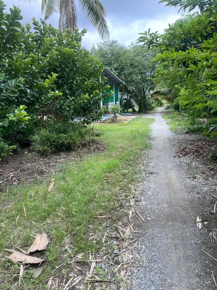 Đất ruộng 1000m² tại Xã Cờ Đỏ, Huyện Cờ Đỏ chỉ 200 triệu - Cơ hội đầu tư tuyệt vời!