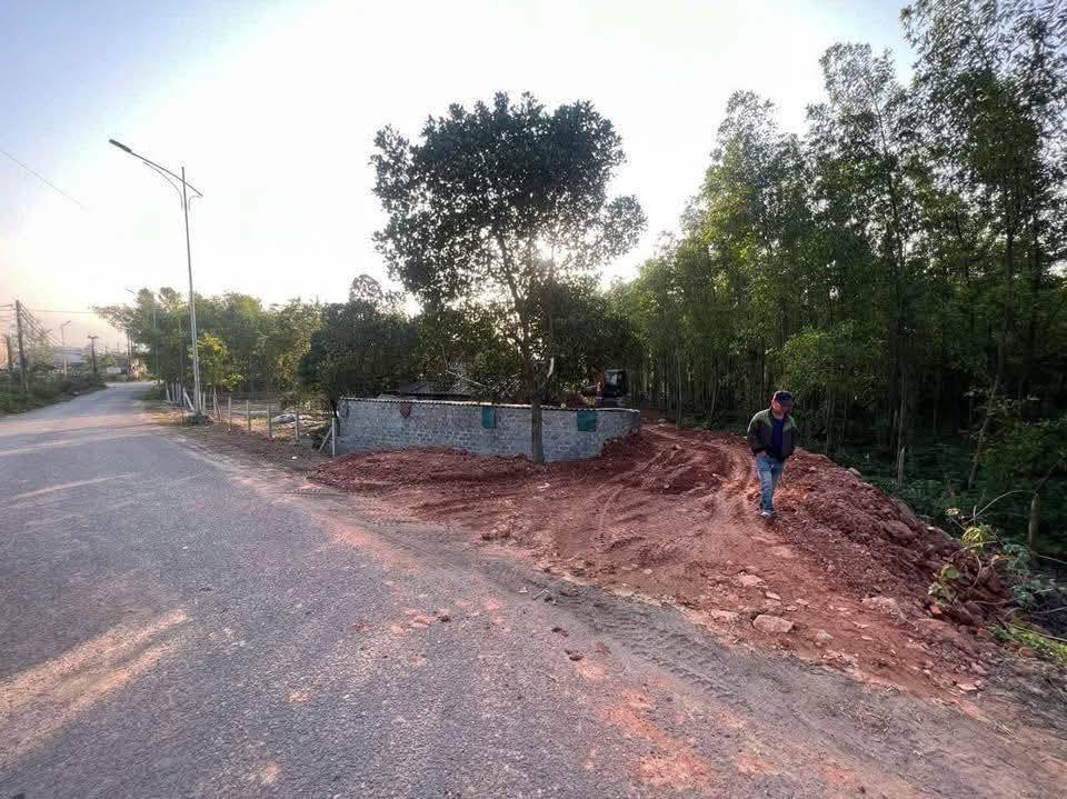 Đất nền xã Bắc Trạch, huyện Bố Trạch, 50m² - Giá chỉ 600 triệu - Đường nhựa có tên, chính chủ!