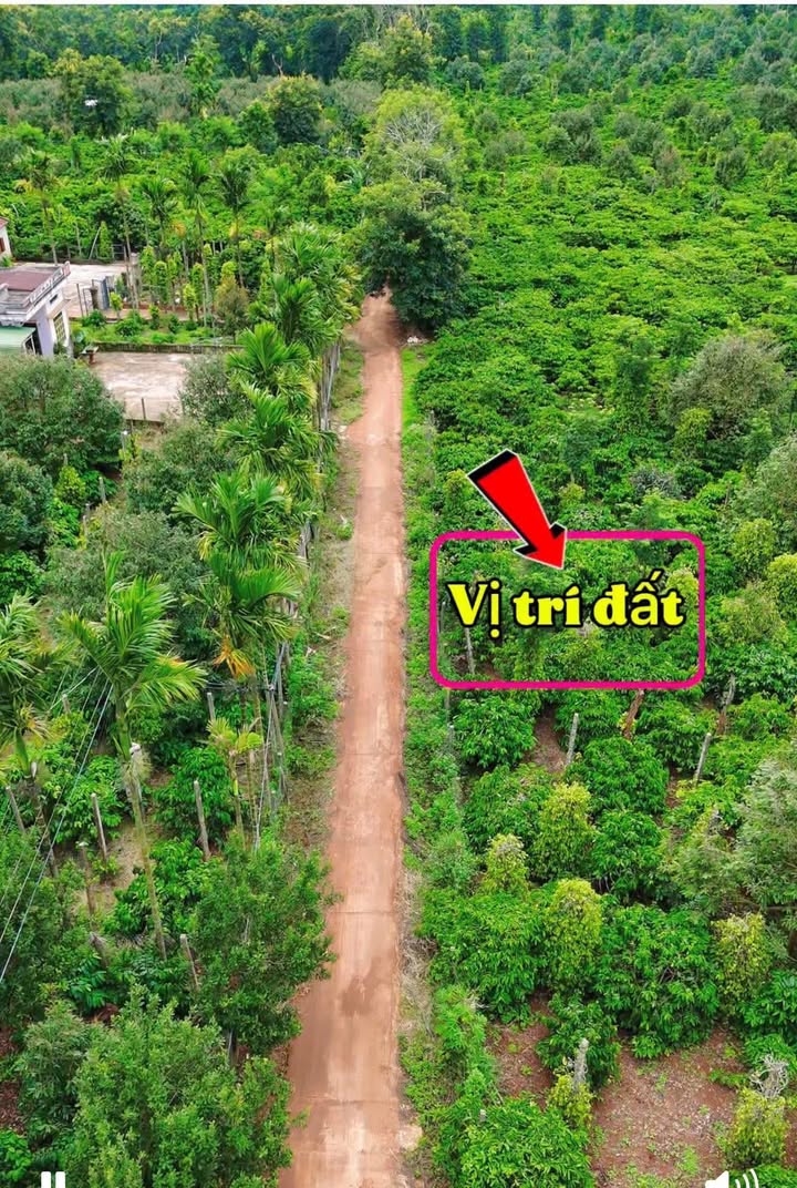 Đất thổ cư Tân An, Ea Tóh 60m² giá thỏa thuận - Sổ đỏ chính chủ!