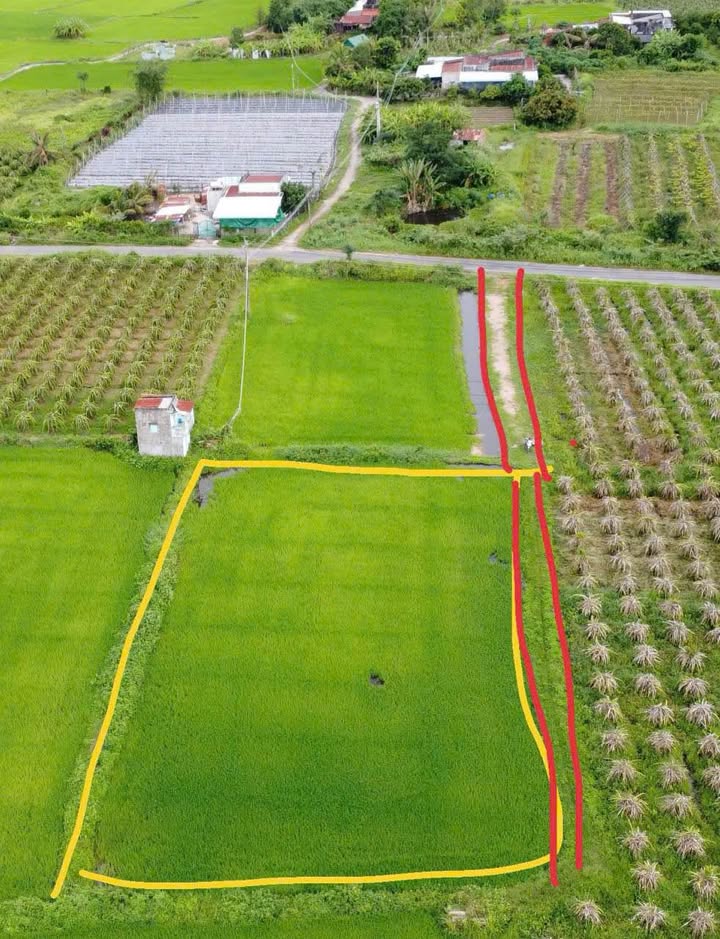 Đất nền Xã Hàm Chính, Phan Thiết 6400m² giá 880 triệu - Cơ hội đầu tư hiếm có!