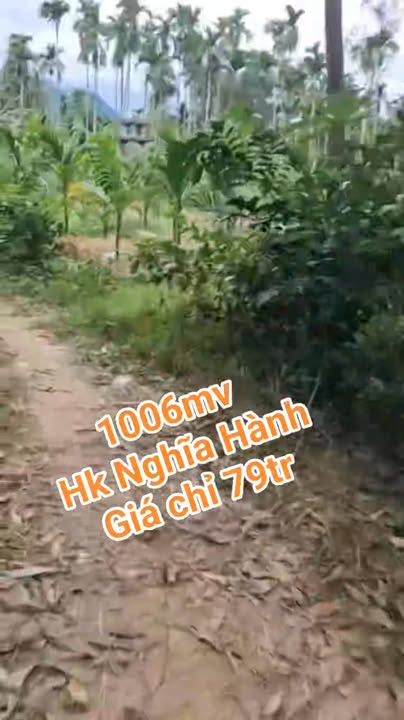 Đất nền Xã Hành Nhân, Huyện Nghĩa Hành, 720m² giá 79 triệu - Đường đi rõ ràng